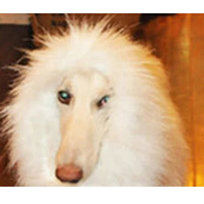 Cute Pet Transfiguration Costume of a Lion for Dogs