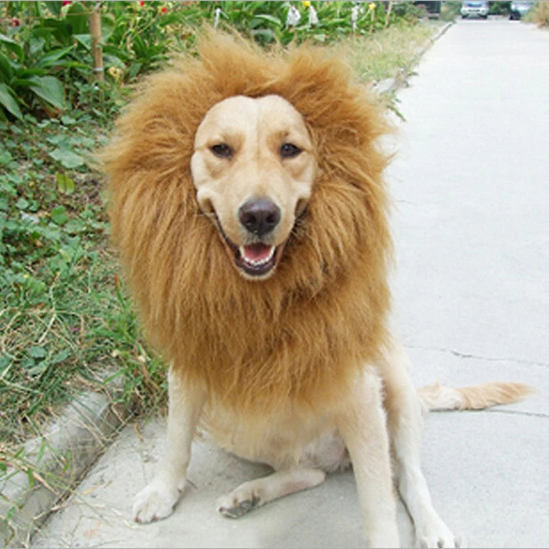 Cute Pet Transfiguration Costume of a Lion for Dogs