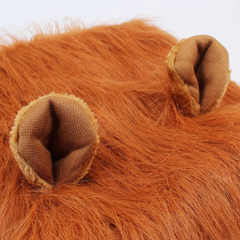 Cute Pet Transfiguration Costume of a Lion for Dogs