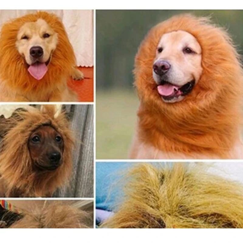 Cute Pet Transfiguration Costume of a Lion for Dogs