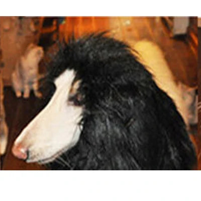 Cute Pet Transfiguration Costume of a Lion for Dogs