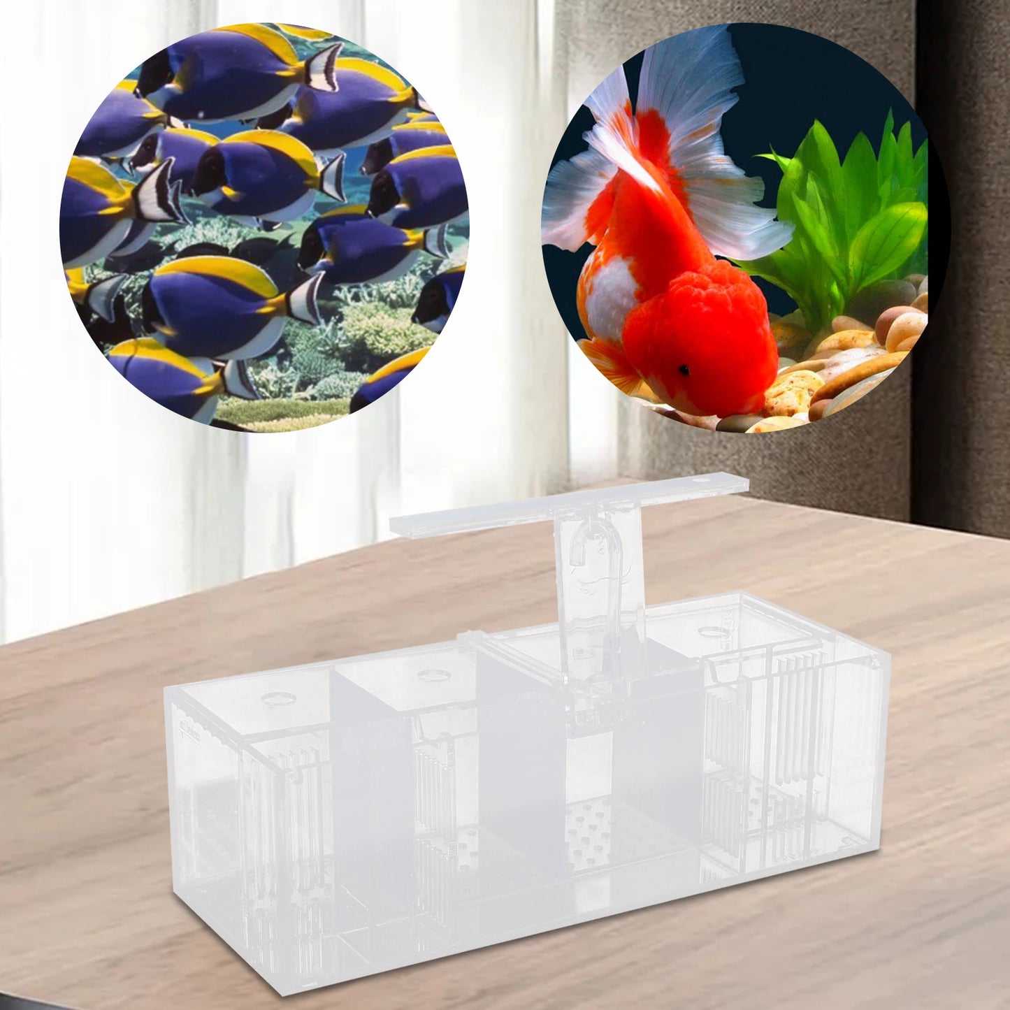 Acrylic Four Grid Aquarium With LED Lighting Tabletop Betta