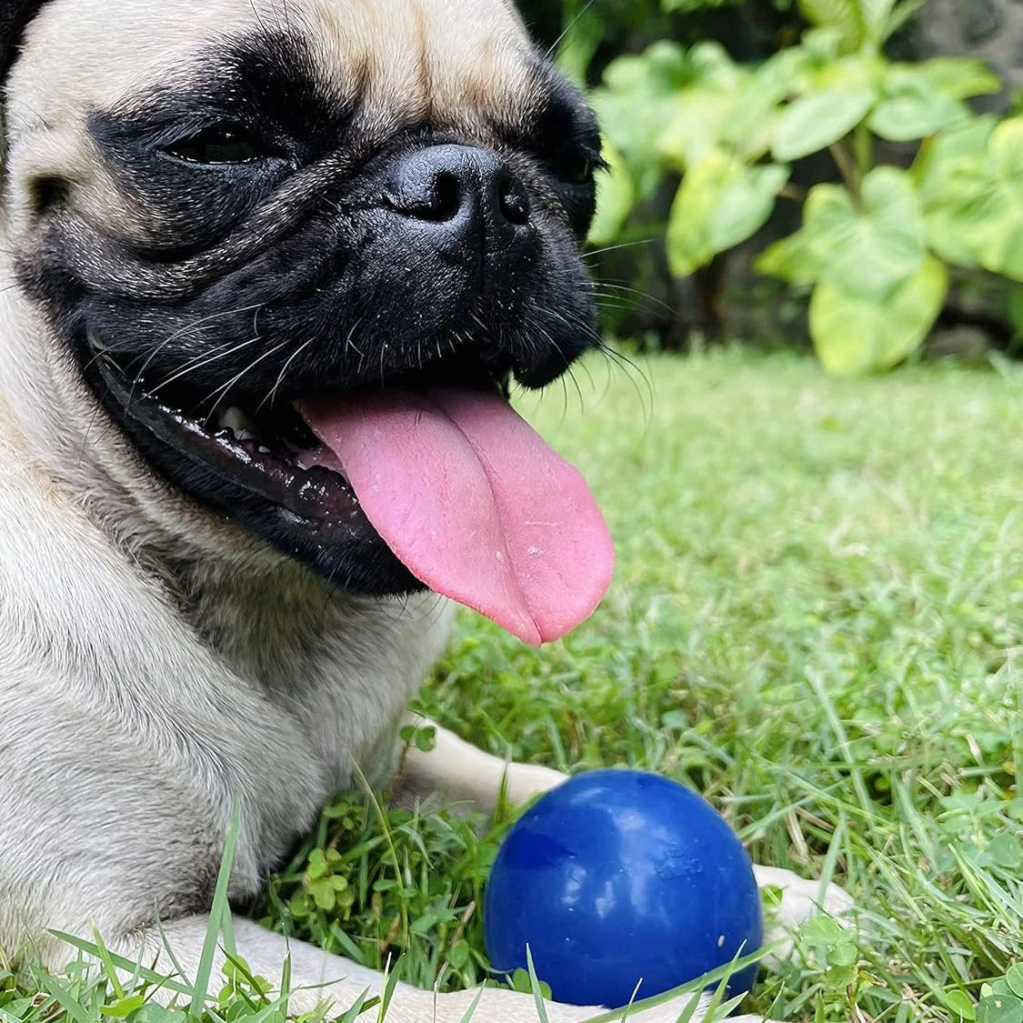 SuperChewy Tough Dog Ball Toy – Durable Natural Rubber
