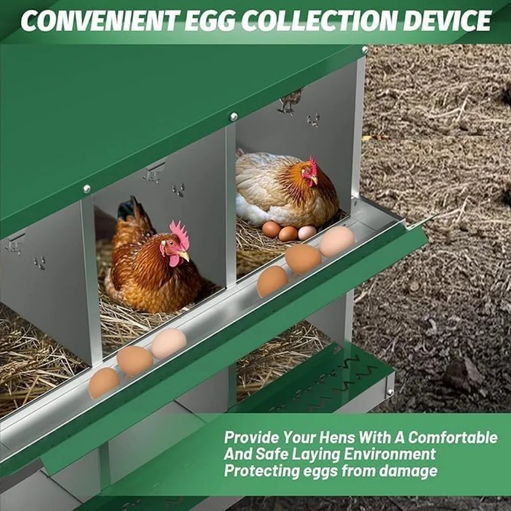 Chicken Nest Box with Eight Compartments for Easy Egg Collection