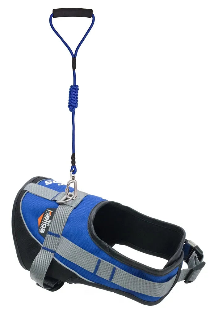3M Reflective Endurance 2-in-1 Adjustable Dog Leash and Harness for Puppies