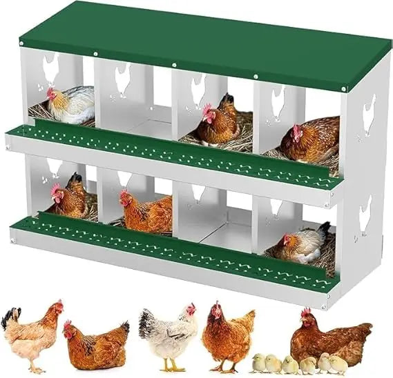 Chicken Nest Box with Eight Compartments for Easy Egg Collection
