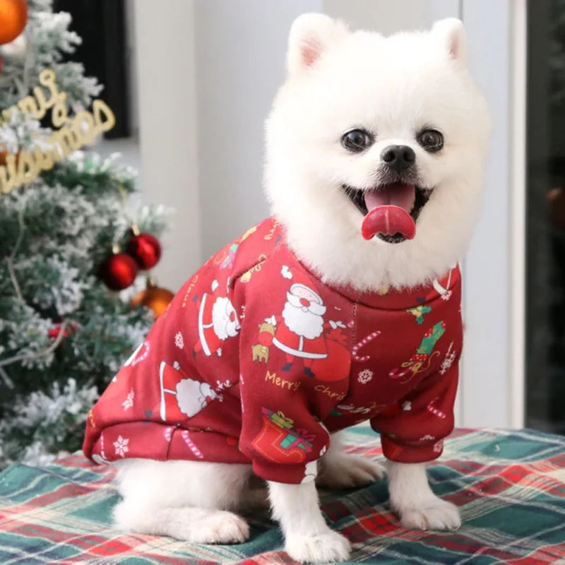 Pawsitive Styles Christmas Sweater – Cozy Holiday Comfort