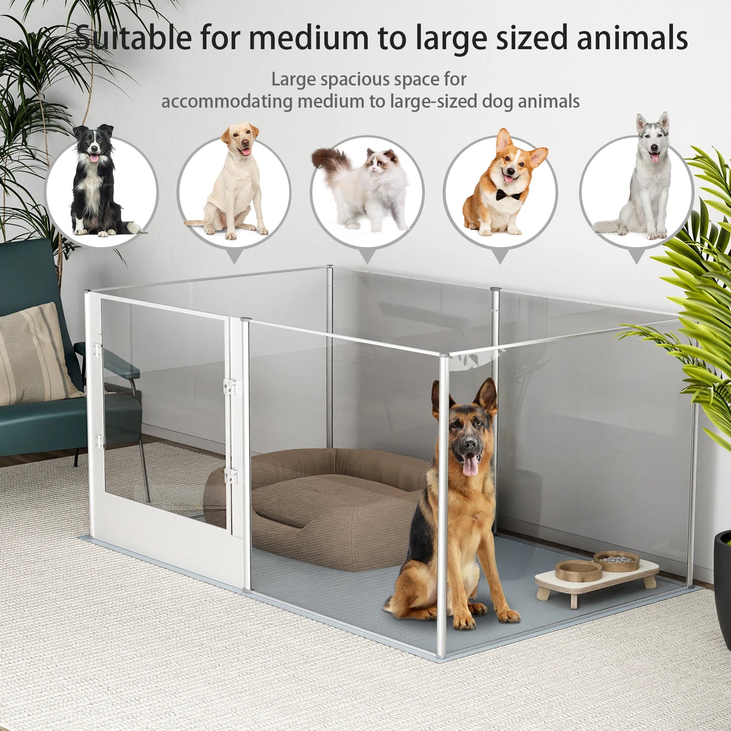 BingoPaw Acrylic Dog Playpen – Stylish and Durable Design