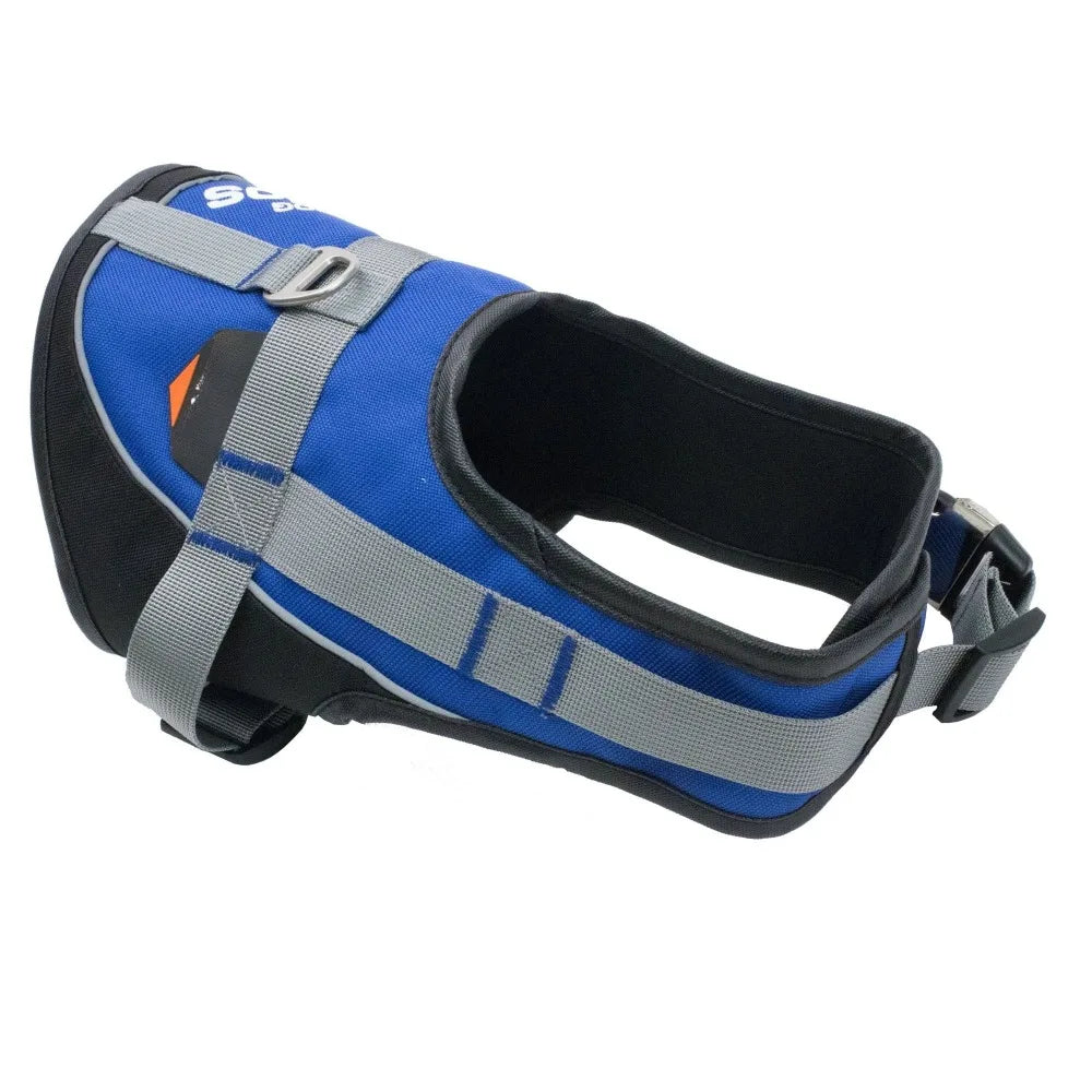3M Reflective Endurance 2-in-1 Adjustable Dog Leash and Harness for Puppies
