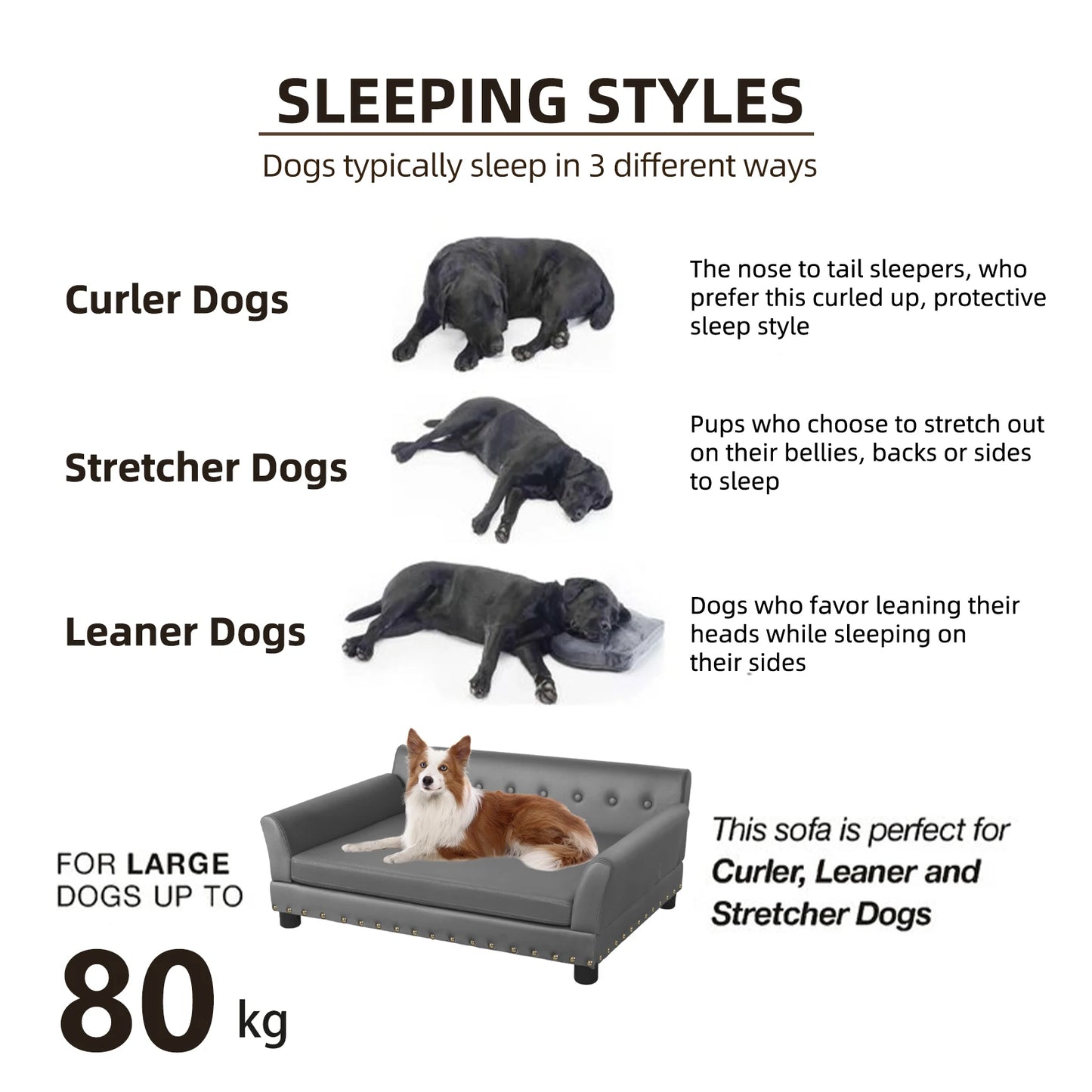 PetComfort Elevated Dog Bed Sofa – Luxurious Microfiber Leather