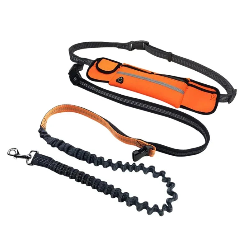 Hands Free Dog Leash with Zipper Pouch and Reflective Bungee for Medium to Large Dogs for Walking Jogging and Running
