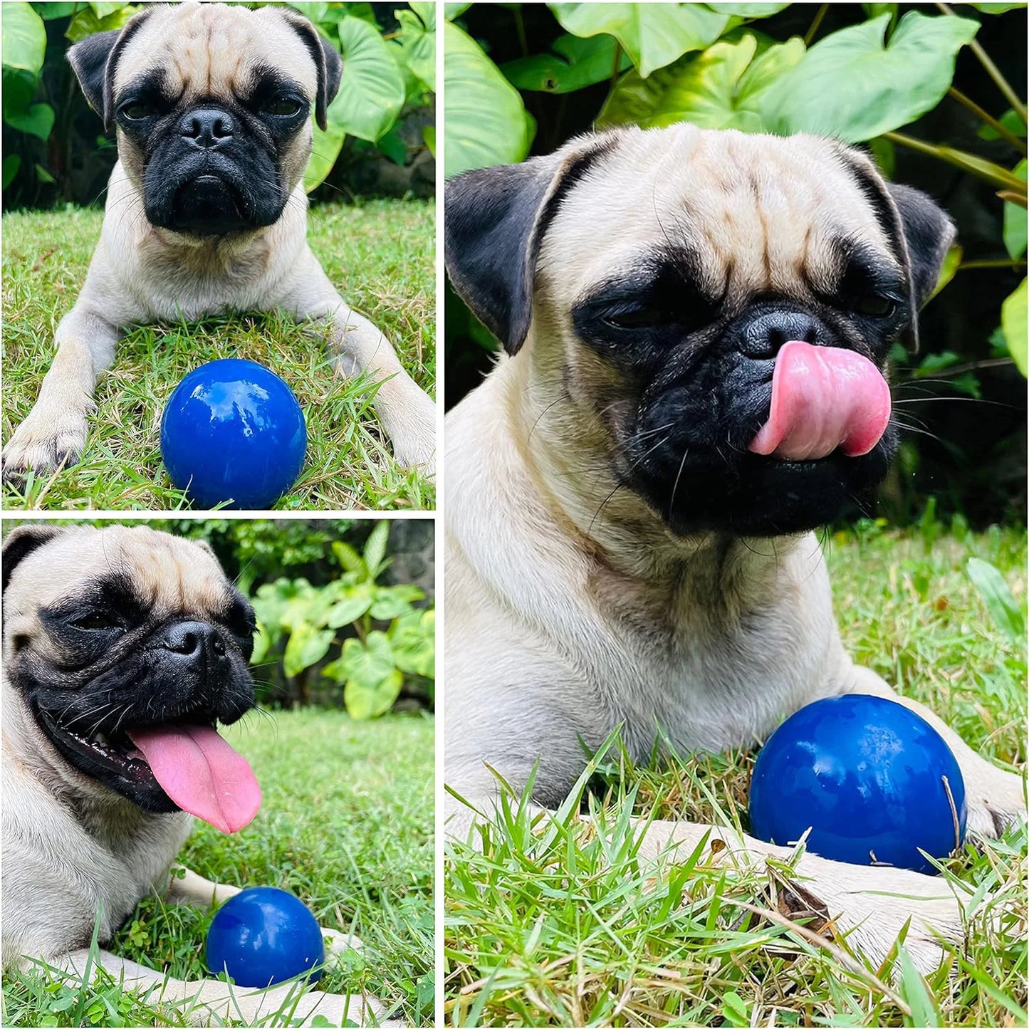 SuperChewy Tough Dog Ball Toy – Durable Natural Rubber