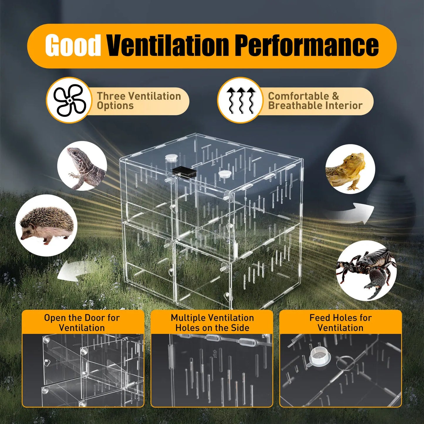 4 Grids Acrylic Pet Reptile Cage Breeding Box Terrarium for Lizards Insects Climbing Spiders Snakes Tank Clear