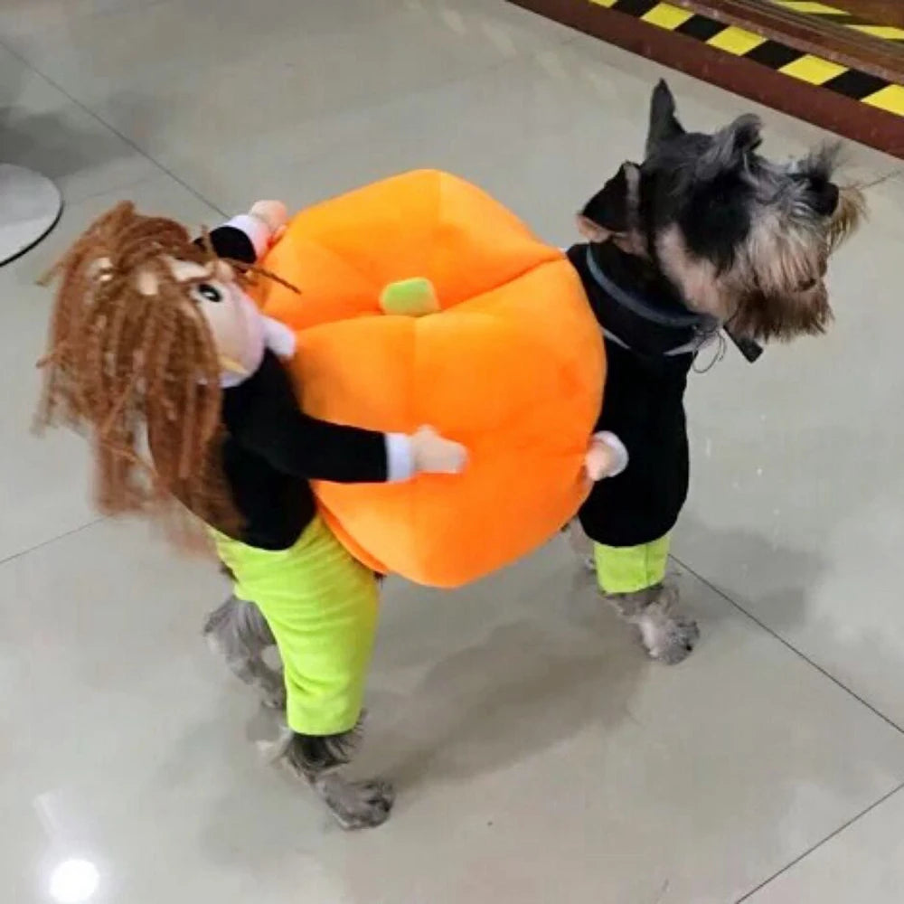PetFashion Fun Pumpkin Costume – Adorable Halloween Outfit