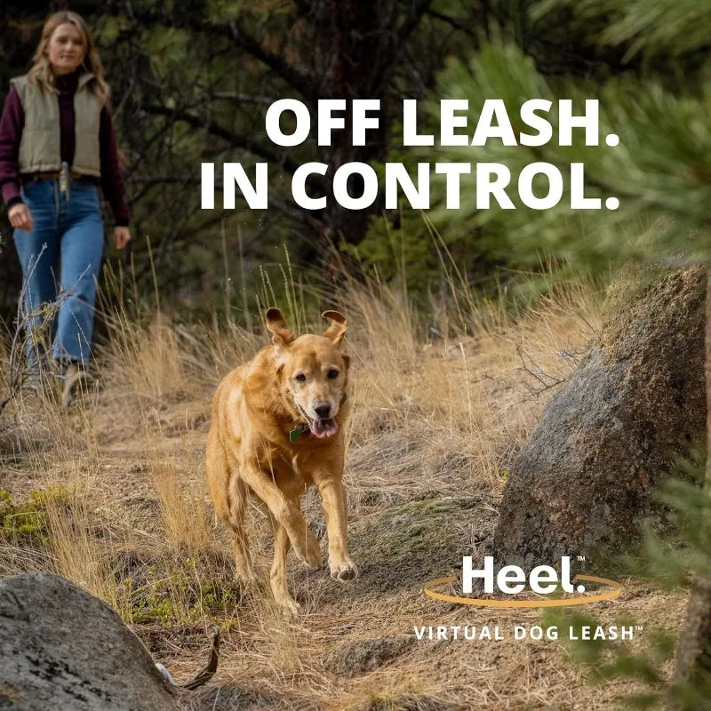 Virtual Dog Leash with Autoprox Technology for Optimal Control and Safety