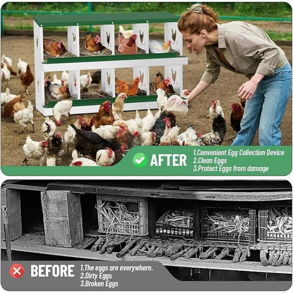 Chicken Nest Box with Eight Compartments for Easy Egg Collection