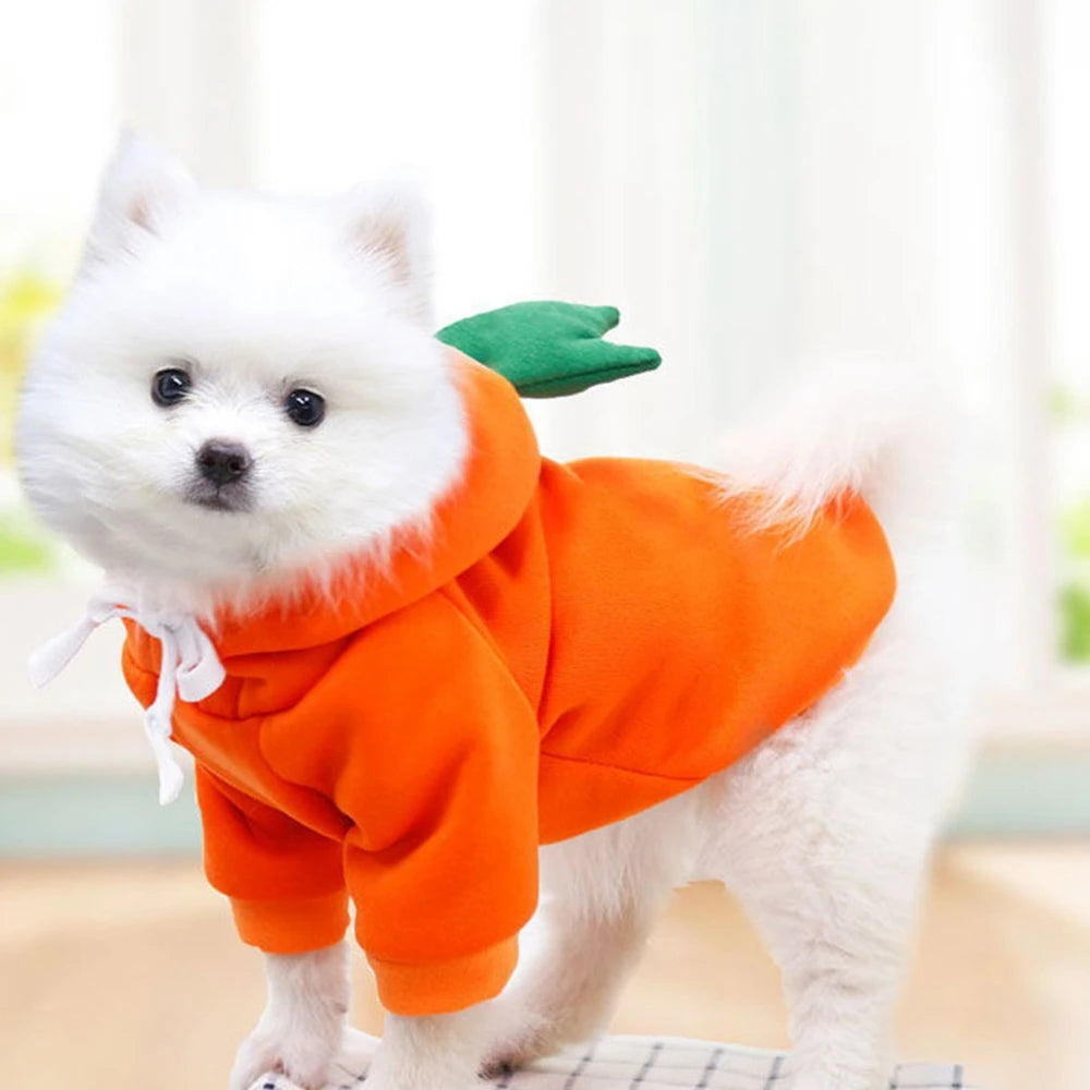 Pawfect Style Fleece Dog Hoodie – Cozy Winter Warmth