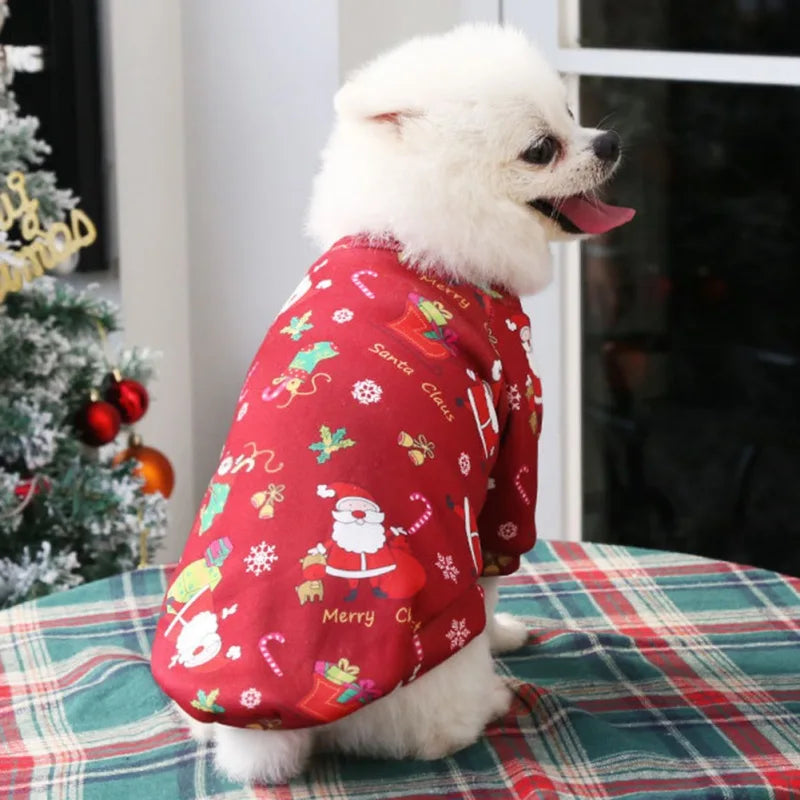 Pawsitive Styles Christmas Sweater – Cozy Holiday Comfort