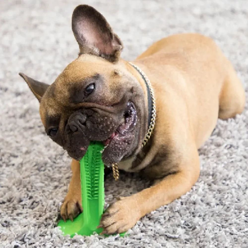 Chewable Rubber Toothbrush Stick for Large Dogs Oral Care