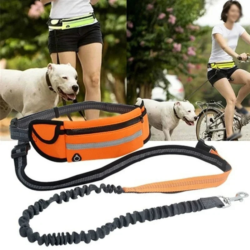 Hands Free Dog Leash with Zipper Pouch and Reflective Bungee for Medium to Large Dogs for Walking Jogging and Running