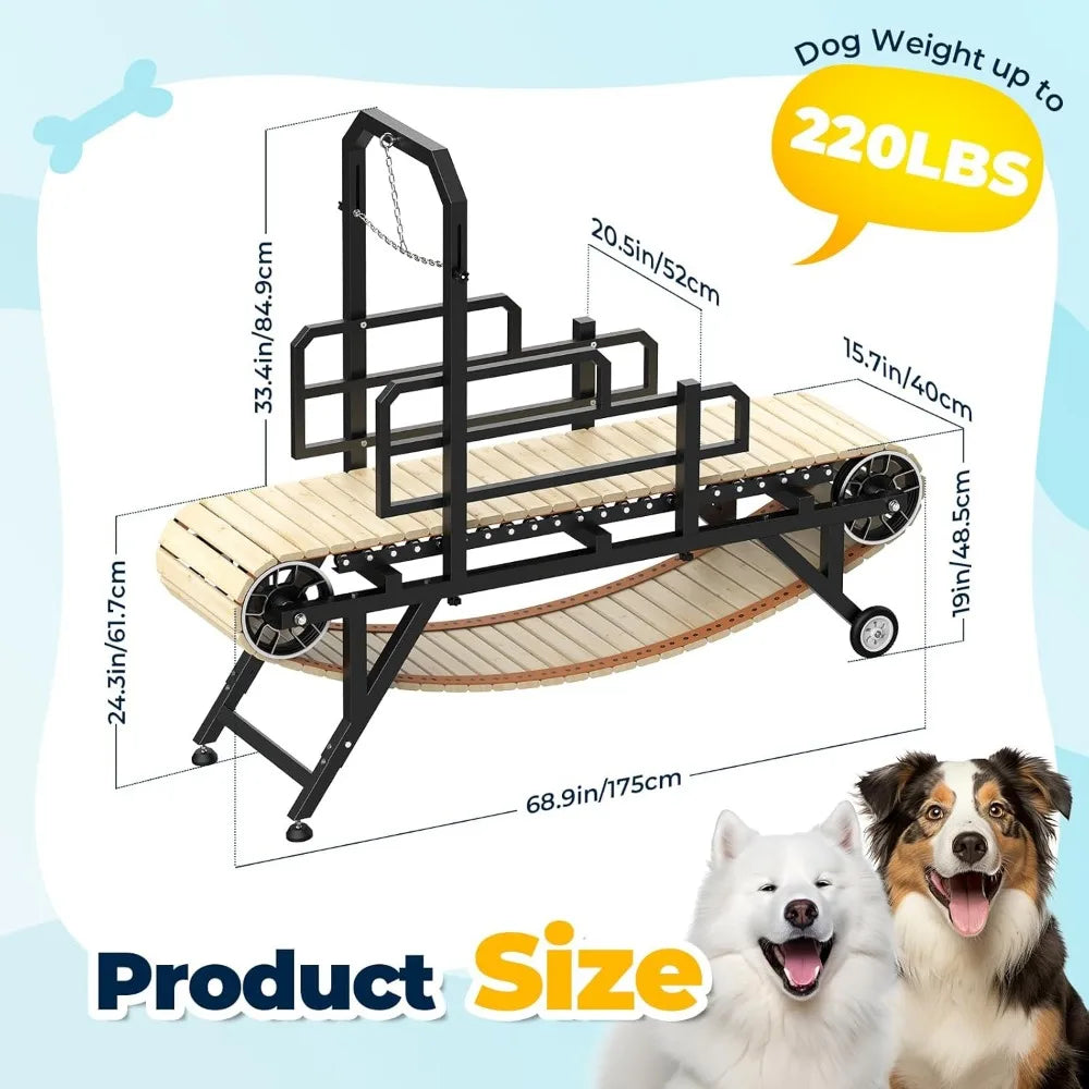 Adjustable Dog Treadmill for Medium and Large Breeds