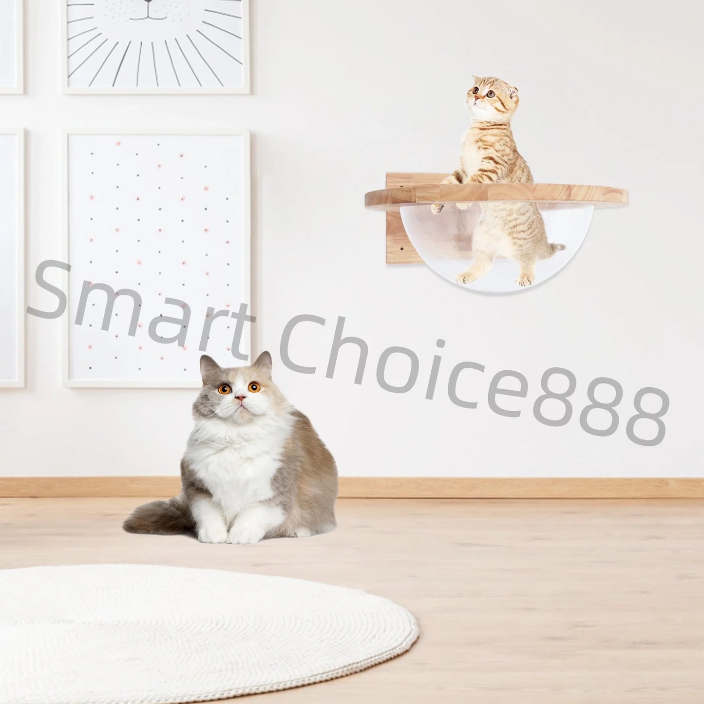 Cat Space Capsule Transparent Cover Bed for Small Pets