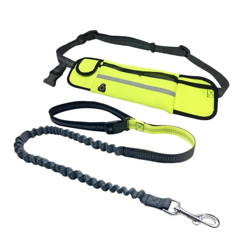 Hands Free Dog Leash with Zipper Pouch and Reflective Bungee for Medium to Large Dogs for Walking Jogging and Running