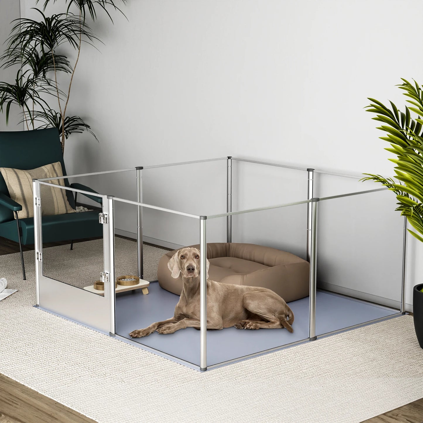 BingoPaw Acrylic Dog Playpen – Stylish and Durable Design