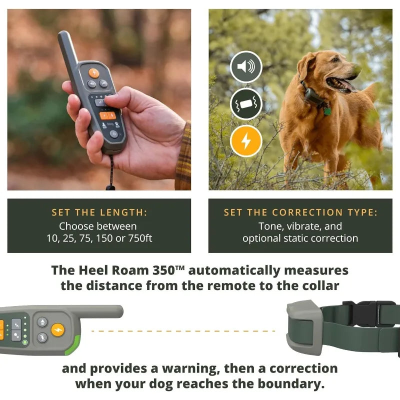 Virtual Dog Leash with Autoprox Technology for Optimal Control and Safety