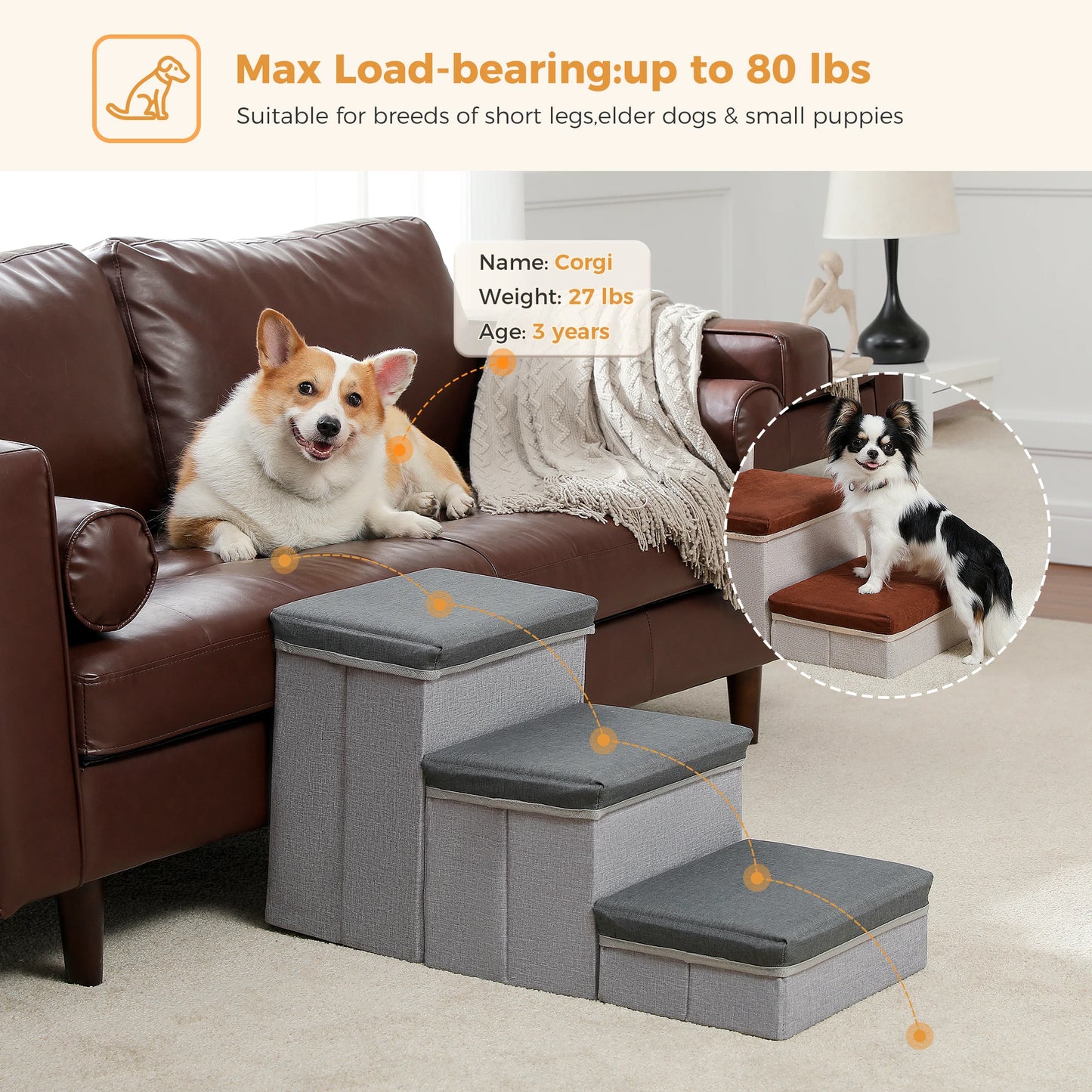 PawMate 3 Tier Foldable Dog Stairs – Adjustable Height Convenience