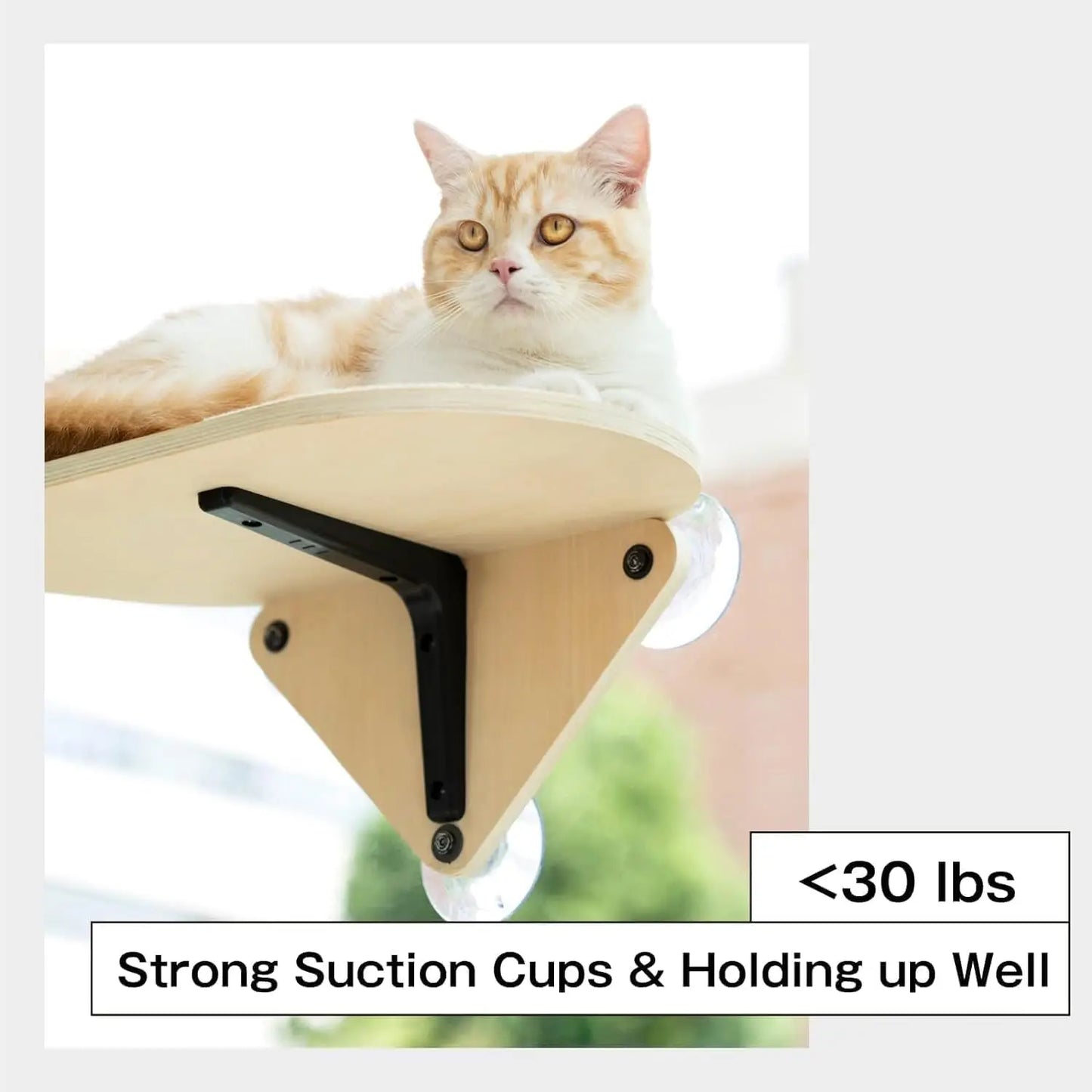 Mewoofun Cat Window Perch Hammock Wooden Suction Cup Cat Platform Bed for Indoor Cats