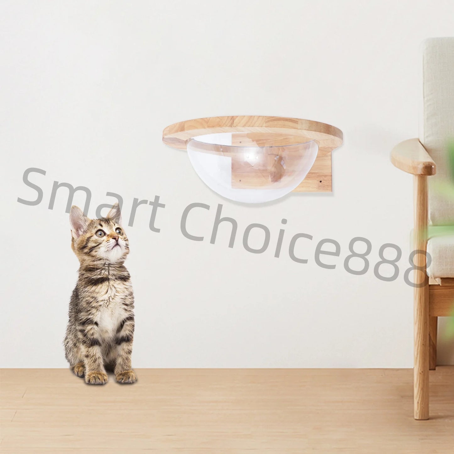 Cat Space Capsule Transparent Cover Bed for Small Pets