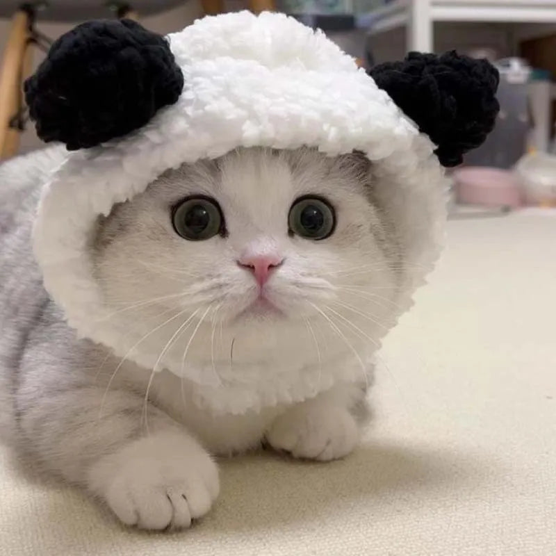 Furry Friends Bear Hats – Adorable and Warm for Pets