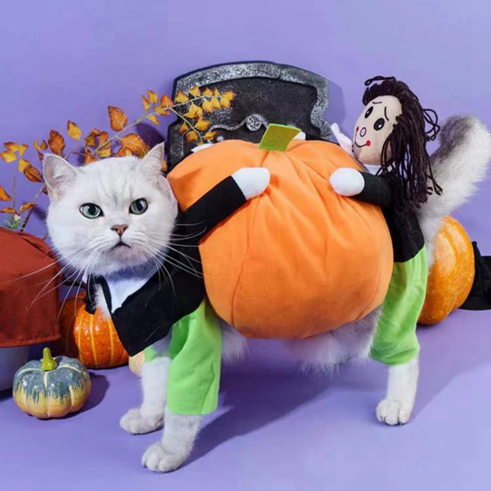 PetFashion Fun Pumpkin Costume – Adorable Halloween Outfit