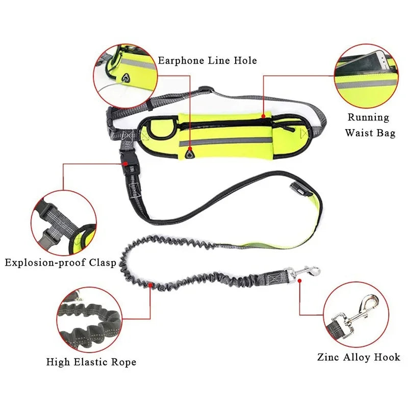 Hands Free Dog Leash with Zipper Pouch and Reflective Bungee for Medium to Large Dogs for Walking Jogging and Running