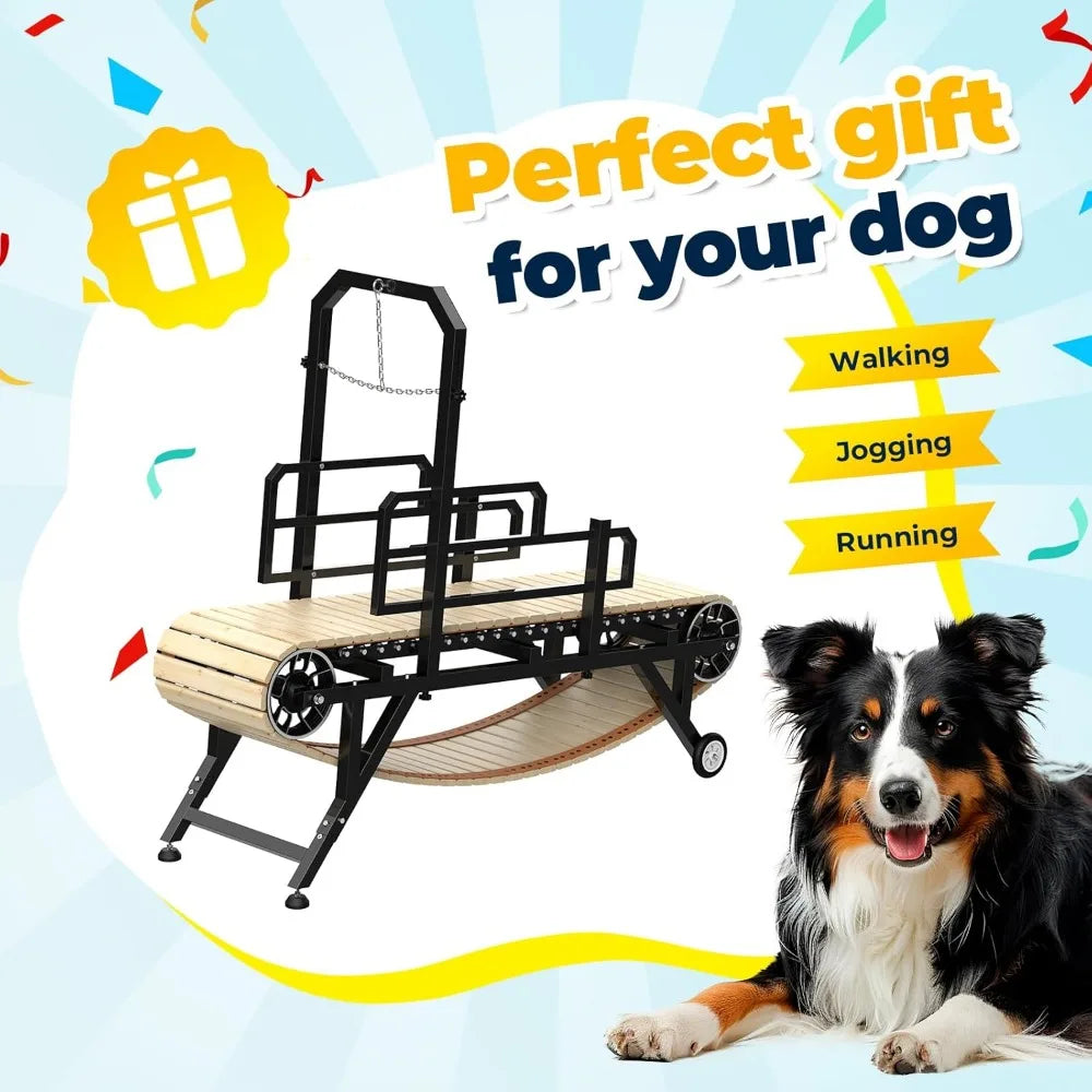 Adjustable Dog Treadmill for Medium and Large Breeds
