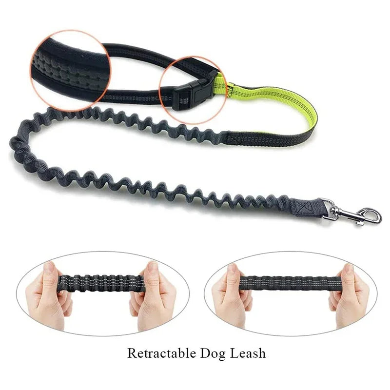 Hands Free Dog Leash with Zipper Pouch and Reflective Bungee for Medium to Large Dogs for Walking Jogging and Running