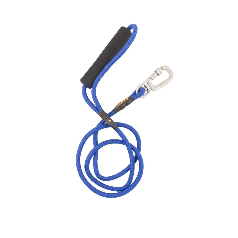 3M Reflective Endurance 2-in-1 Adjustable Dog Leash and Harness for Puppies