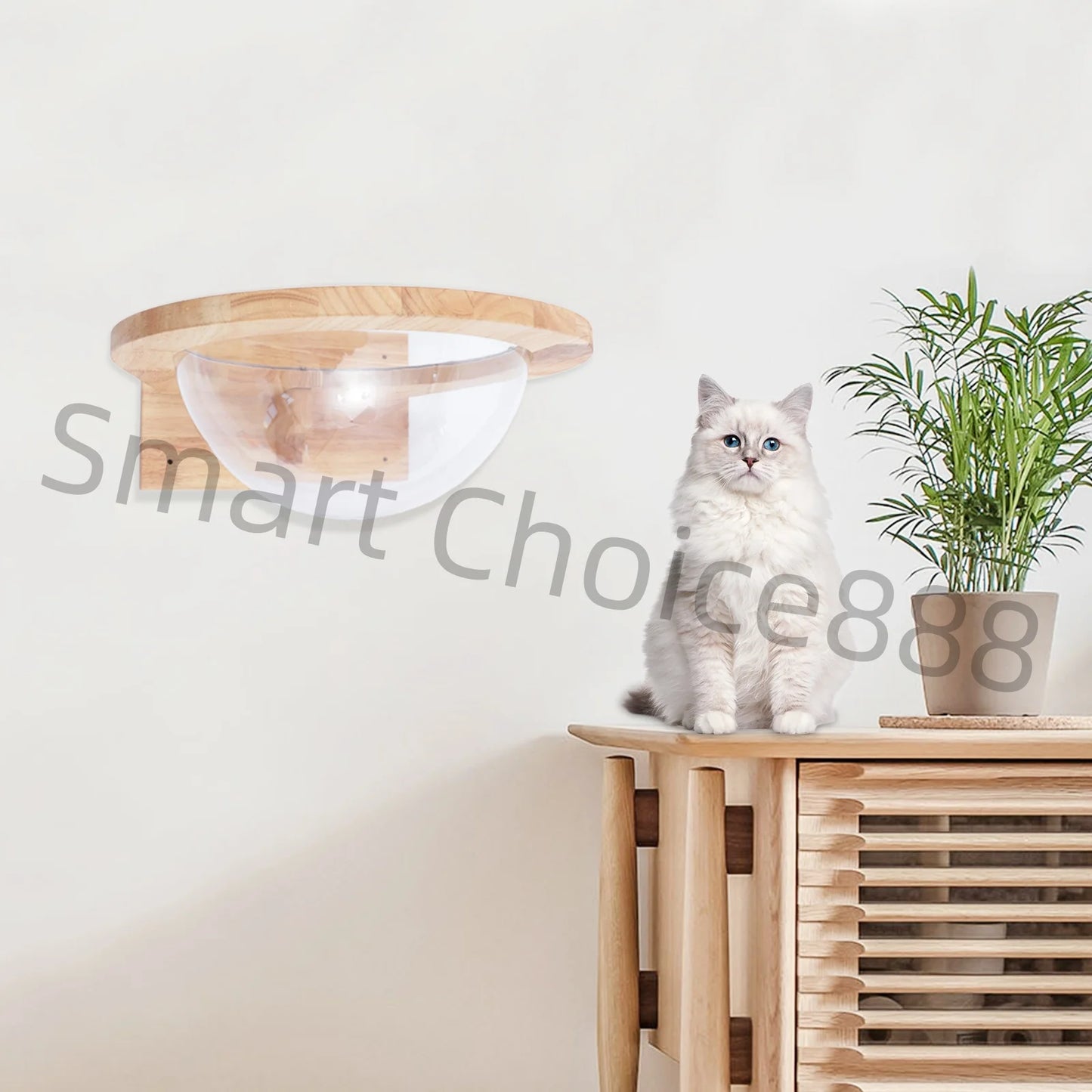 Cat Space Capsule Transparent Cover Bed for Small Pets
