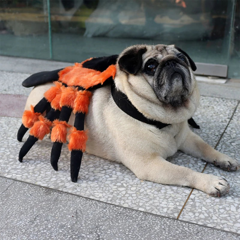 Halloween Cute Pet Clothes Red Eyed Spider Costume for Pets
