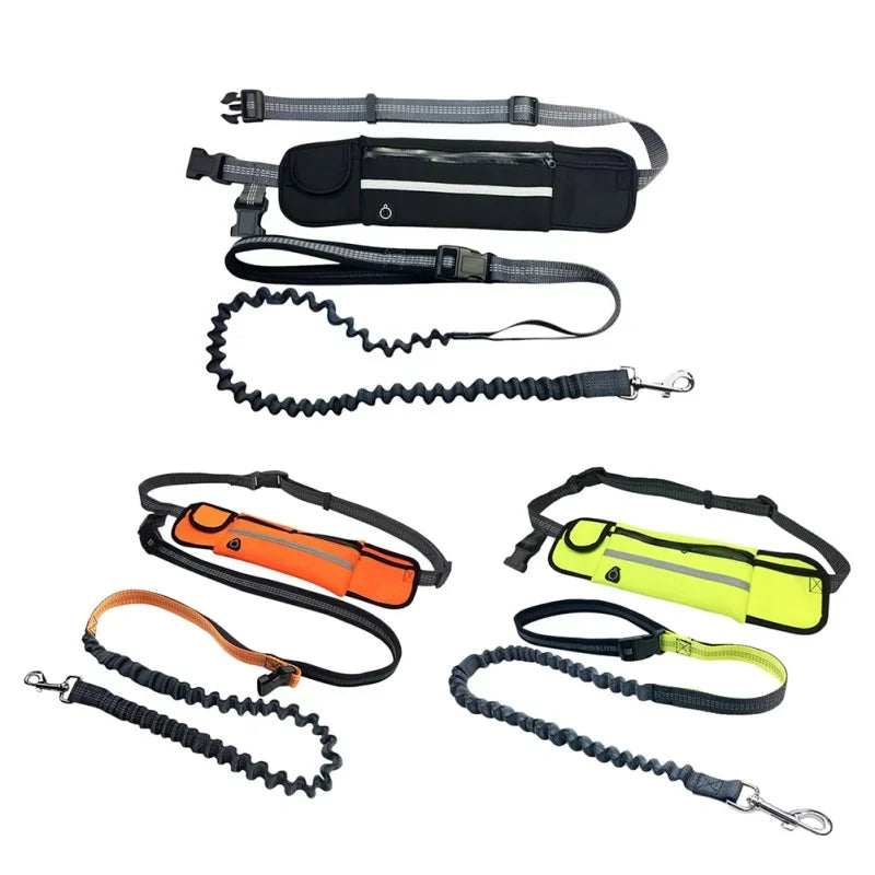 Hands Free Dog Leash with Zipper Pouch and Reflective Bungee for Medium to Large Dogs for Walking Jogging and Running