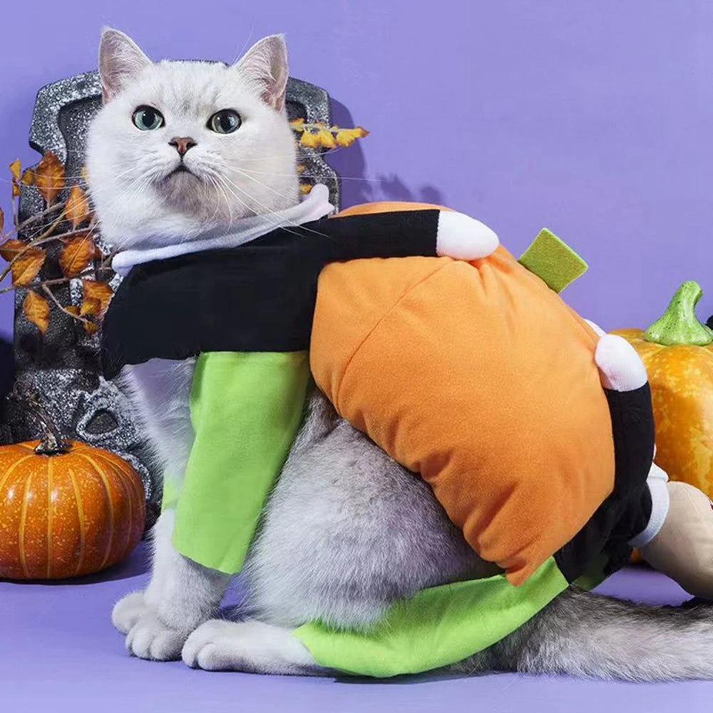 PetFashion Fun Pumpkin Costume – Adorable Halloween Outfit