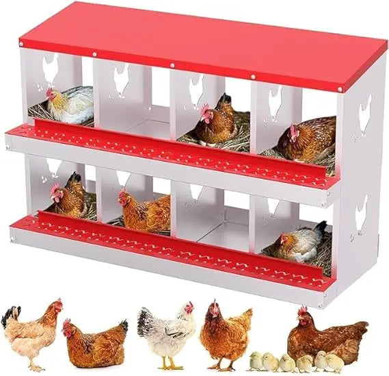 Chicken Nest Box with Eight Compartments for Easy Egg Collection