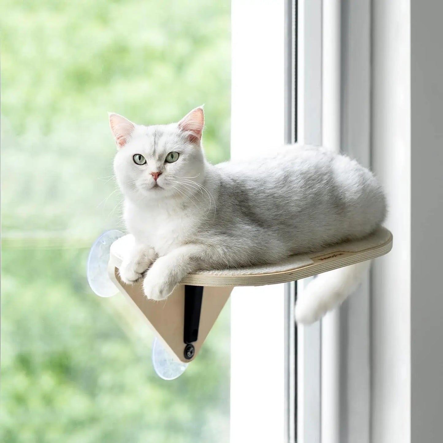 Mewoofun Cat Window Perch Hammock Wooden Suction Cup Cat Platform Bed for Indoor Cats