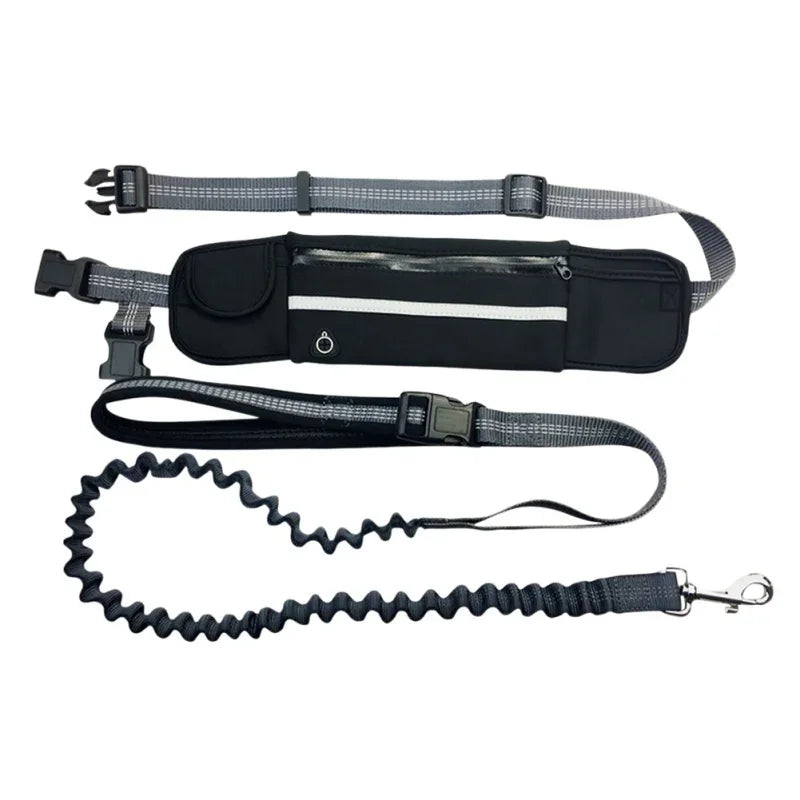 Hands Free Dog Leash with Zipper Pouch and Reflective Bungee for Medium to Large Dogs for Walking Jogging and Running