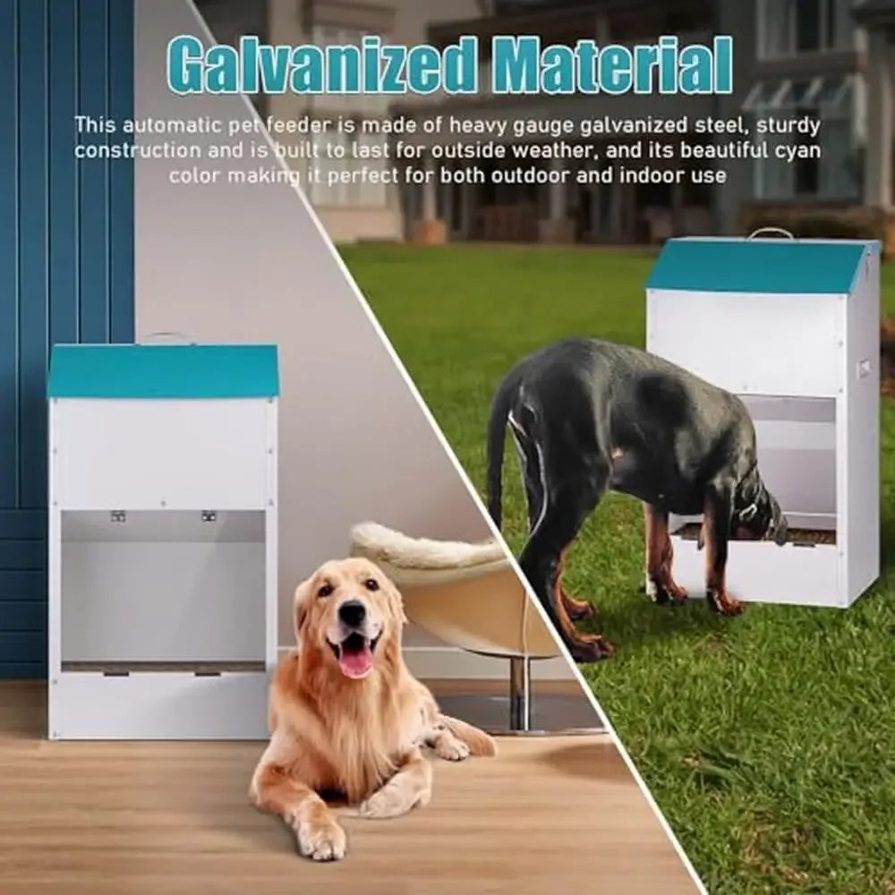 Large Capacity Auto Dog Feeder Steel Gravity Dispenser Durable Galvanized 50 Pound Capacity for All Breeds