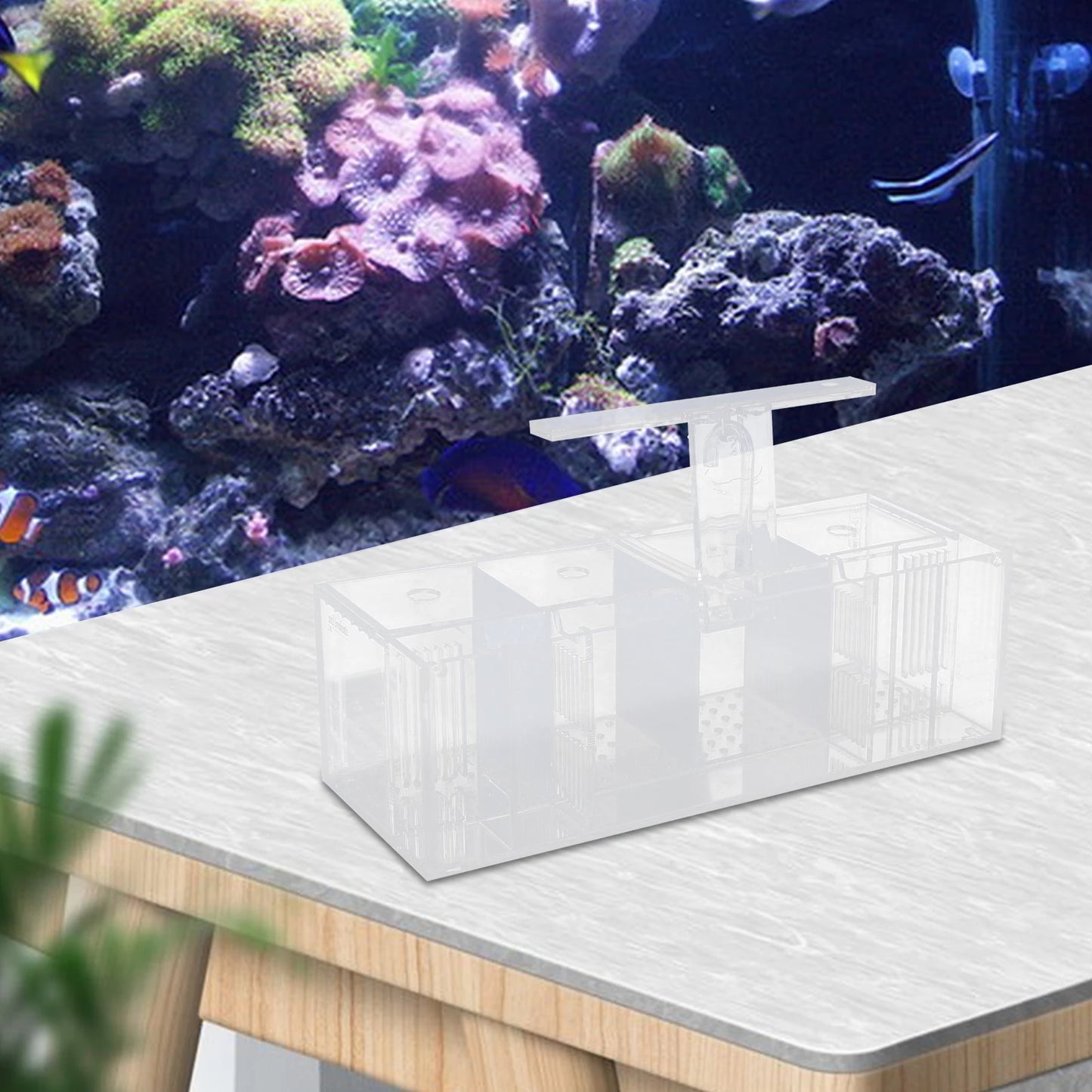 Acrylic Four Grid Aquarium With LED Lighting Tabletop Betta