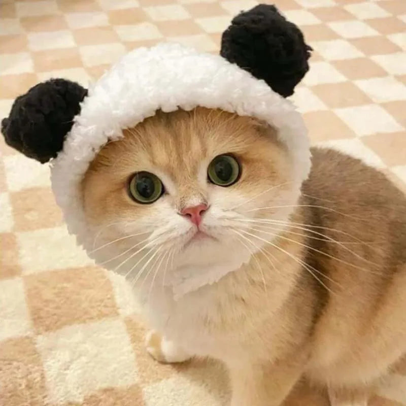 Furry Friends Bear Hats – Adorable and Warm for Pets