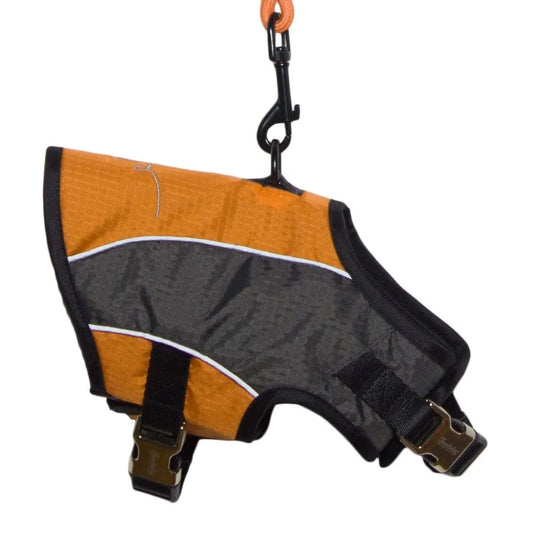 2 In 1 Premium Performance Adjustable Dog Harness And Leash Reflective Polyester And Oxford Nylon Fabrics