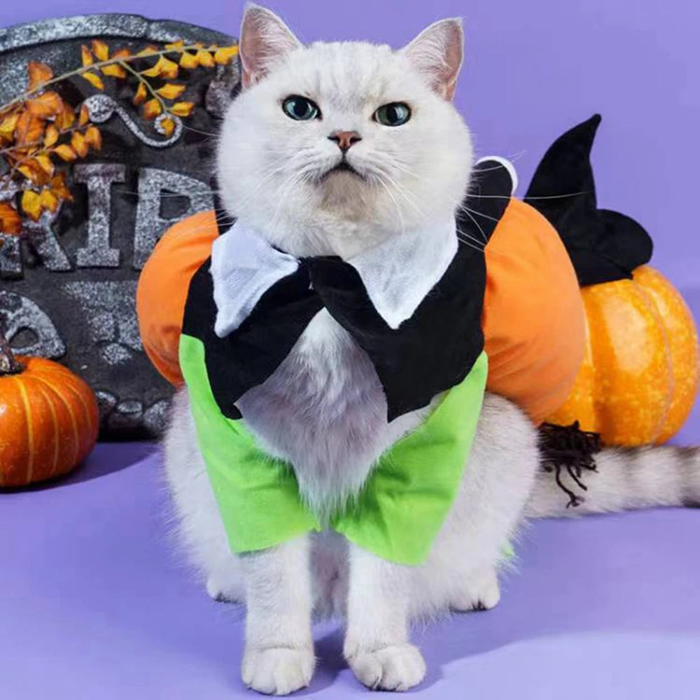PetFashion Fun Pumpkin Costume – Adorable Halloween Outfit